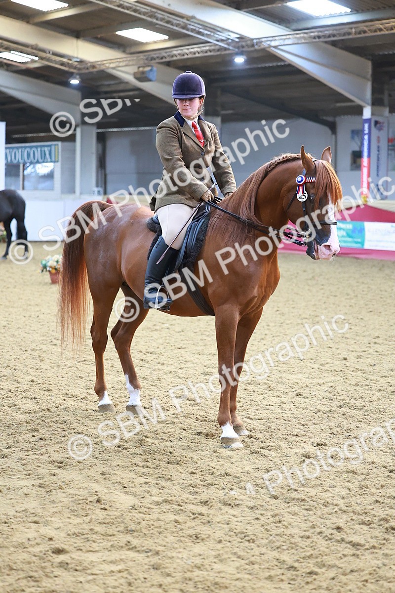 SBM_07692 - Class 101 - HOYS Veteran Qualifier - Ridden Diamond