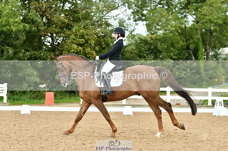 230912A-153300-01591 - Cls 13 Adv Medium 91