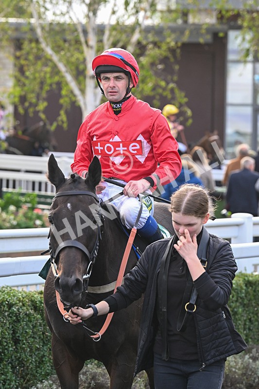 021024-Race 6-Redrosezorro-9685 - Race 6