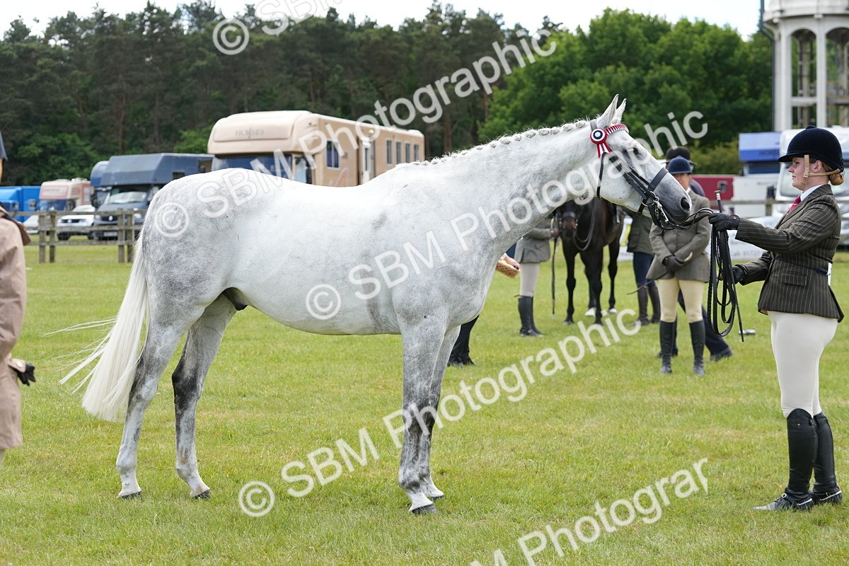 SBM_16217 - Class 105-106 - RIHS Riding Horses