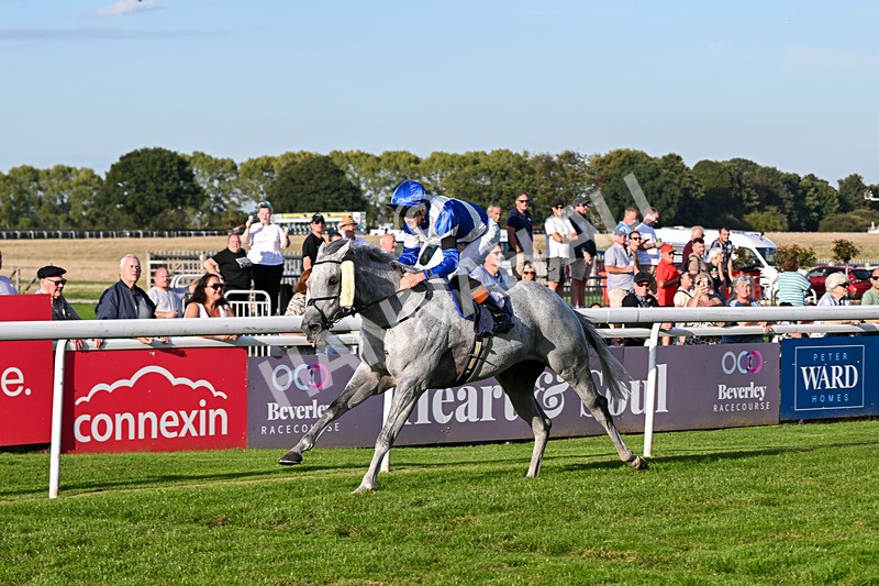 220926-Race 7-Mudamer-5049 - Race 7 5pm Fango Handicap (Div II)