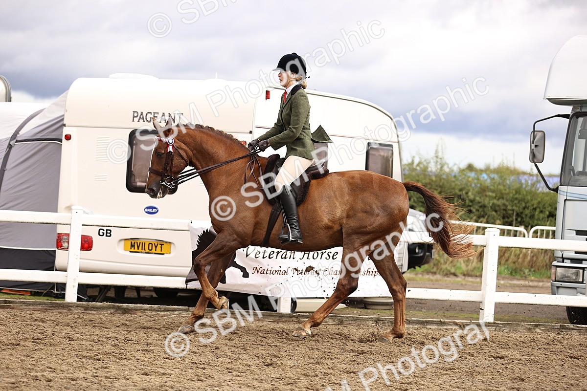 SBM_00592 - Class 53 - Ridden Competition Horse Pony