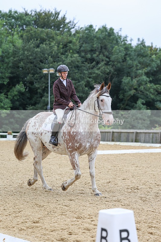 3E7A4900 - Class 1: Intro 4 2024 section A