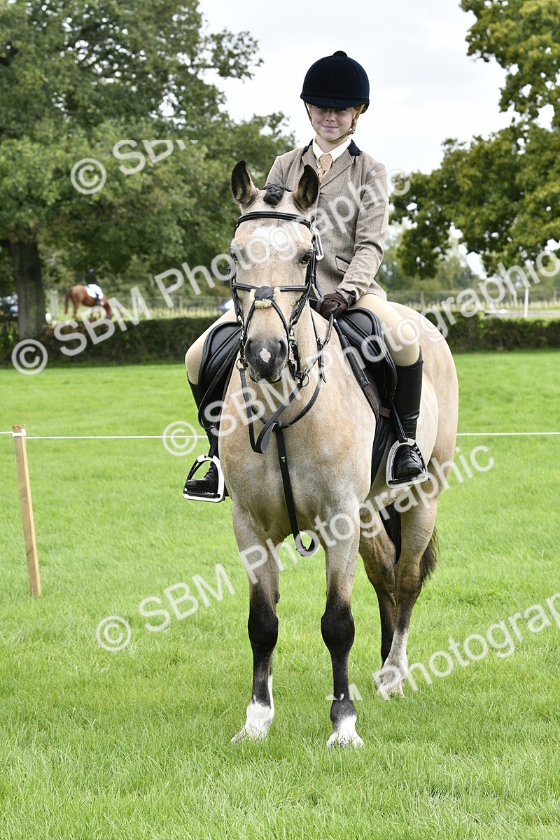 SBM_41624 - S32 - Mountain & Moorland Working Hunter Pony