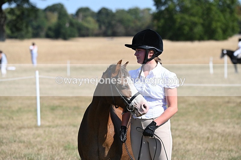 WJ6_7579 - Class 34 Judges Choice