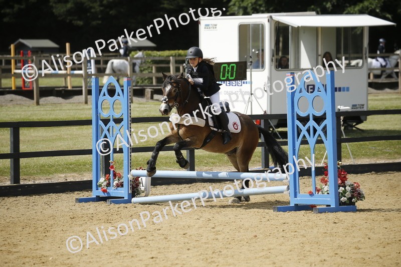 20250622-3896 - 50cm