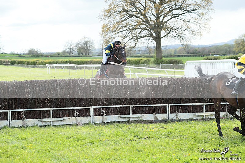 PtP 180426 800 - Worcestershire Hunt PtP Chaddesley Corbett 18/04/26