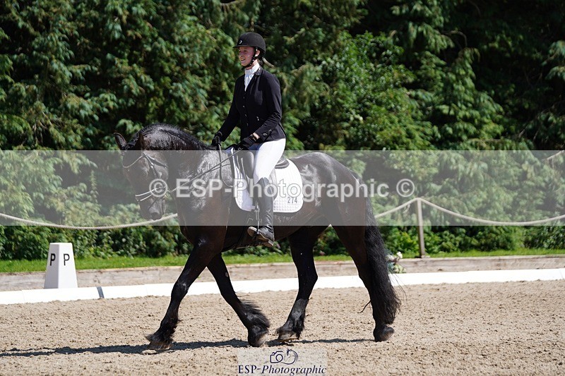 240719-150106-02481 - 274-Paige_Beattie-Orcaber_Dark_Secret