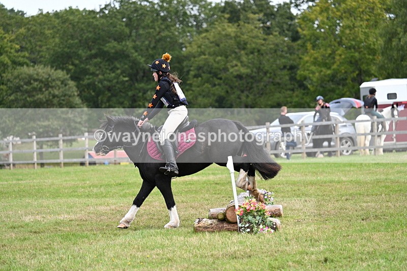 WJ7_8031 - 40cm Time 10:49 to 11:18