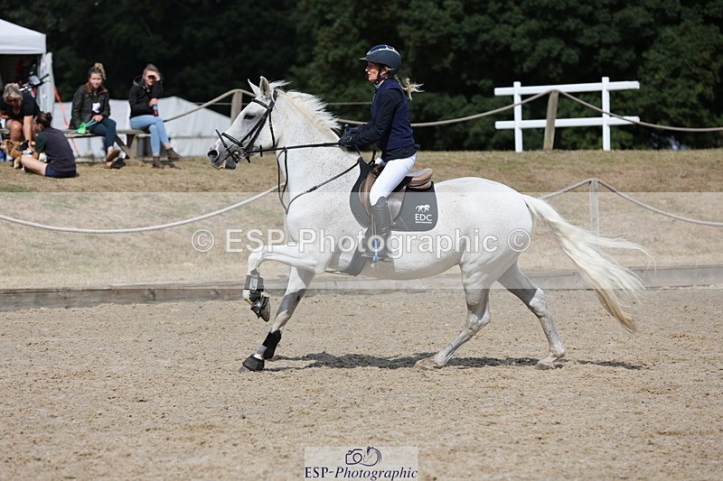 250829A-111957-01343 - Cls 7 British Novice and 90cm