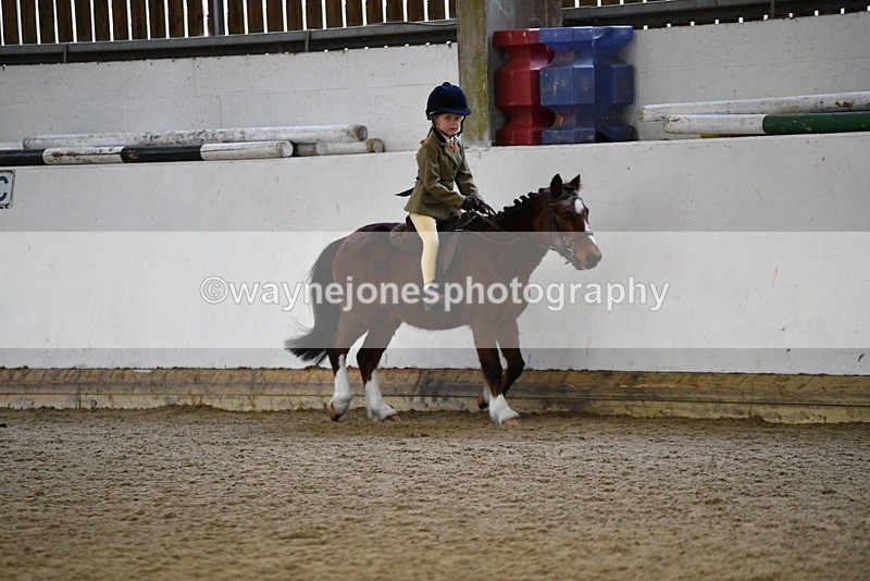 WJ5_6524 - Class 10 Childs Pony