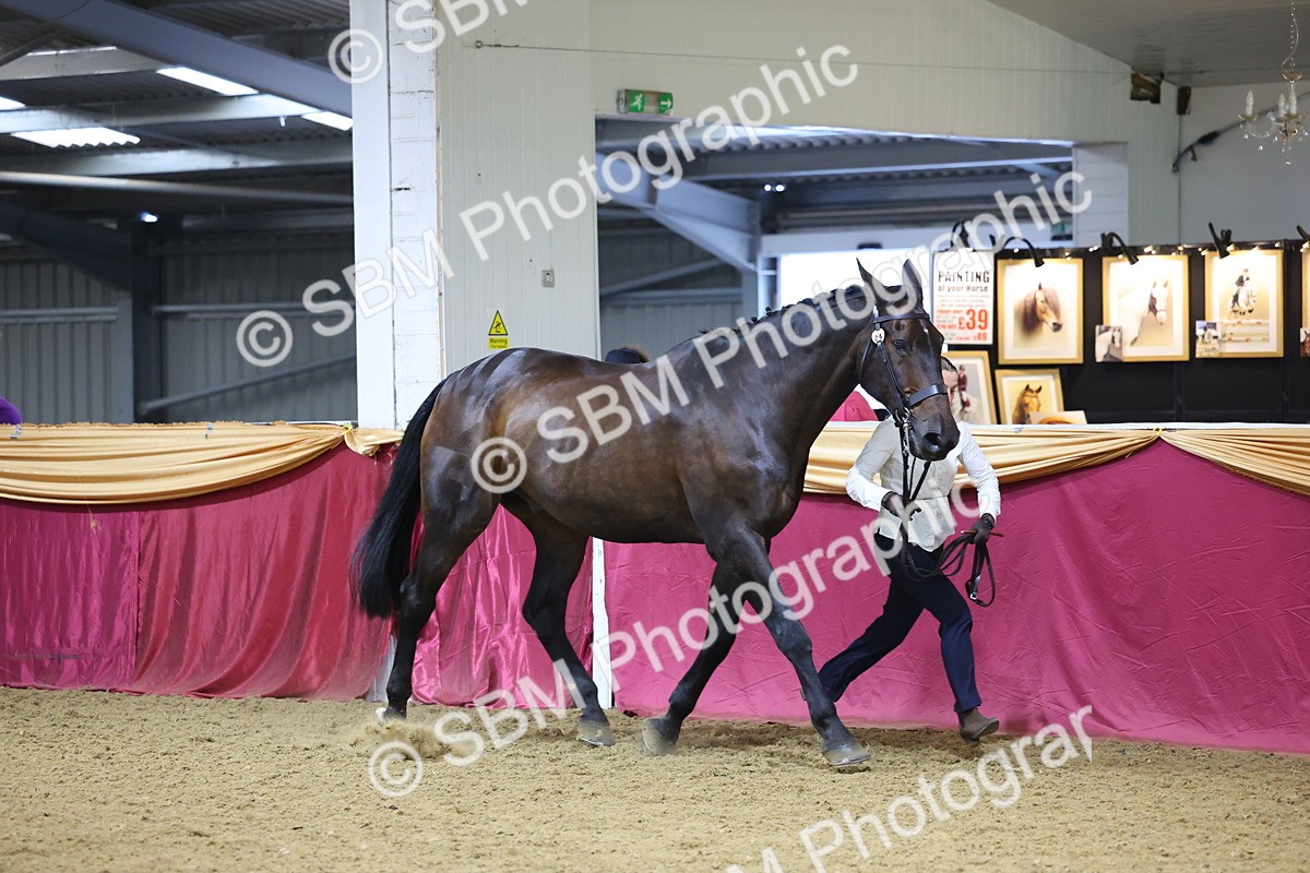 SBM_20772 - Class 902 - Supreme Final IH Veteran