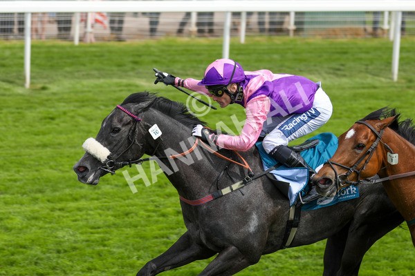 170523-Race 3-Azure Blue-6917 - Race 3 3.00pm 1895 Duke of York Clipper Logistics Stakes