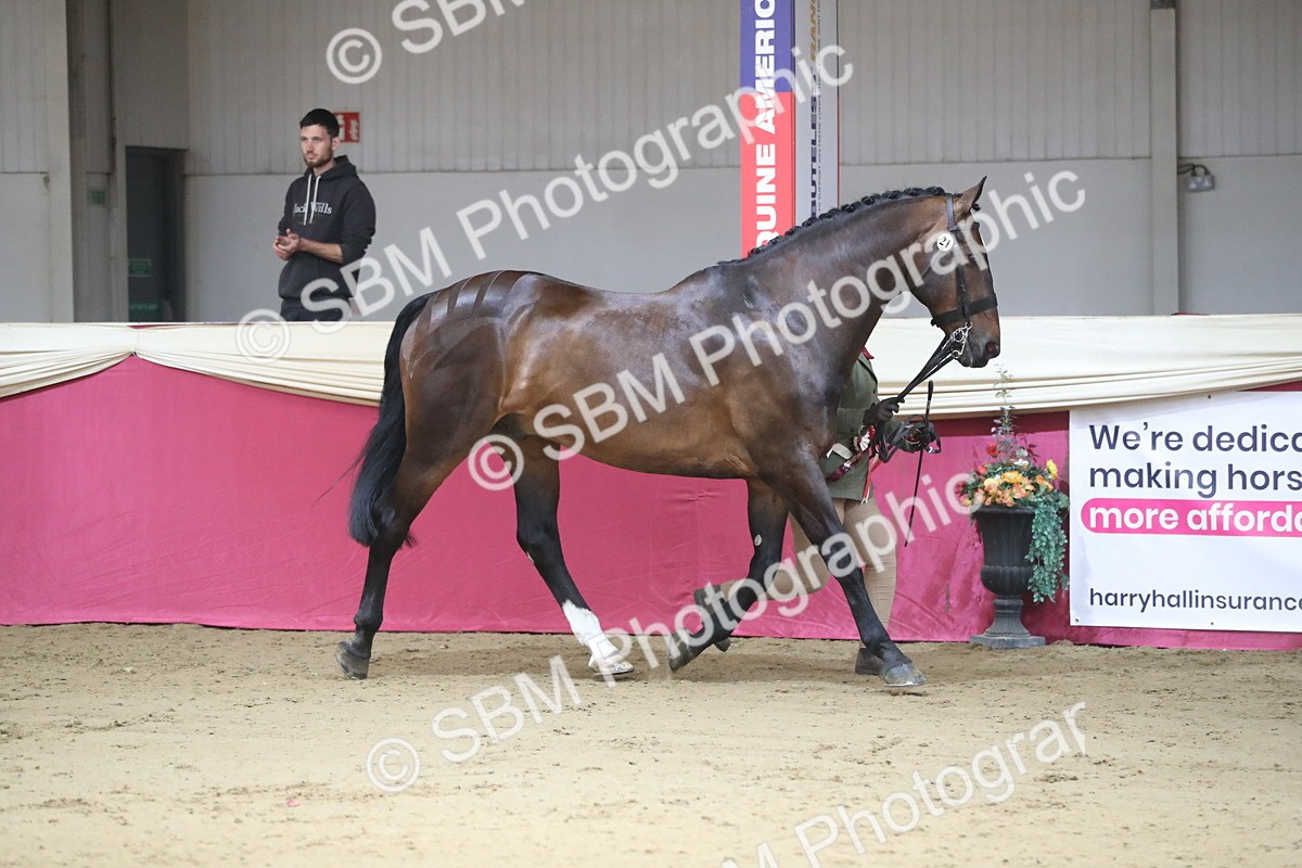 SBM_00588 - class 2a Area IH Veteran