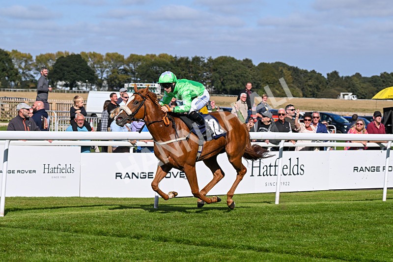 180924-Race 3-Beaujolais Nouveau-4250 - Race 3