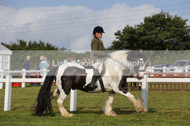 1X9A3268 - Class 28: Ridden Native/Trad Coloured Pony