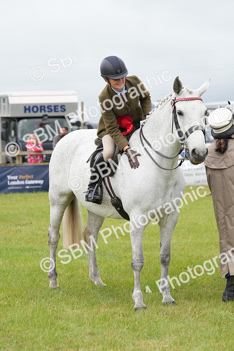SBM_10644 - Class 97-98 - LIHS BSHA Rising Star Working Show Horse Hunter