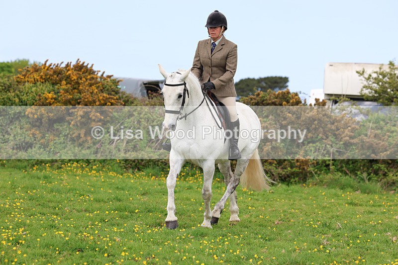 3E7A1246 - Class 7: Ridden Hunter Type