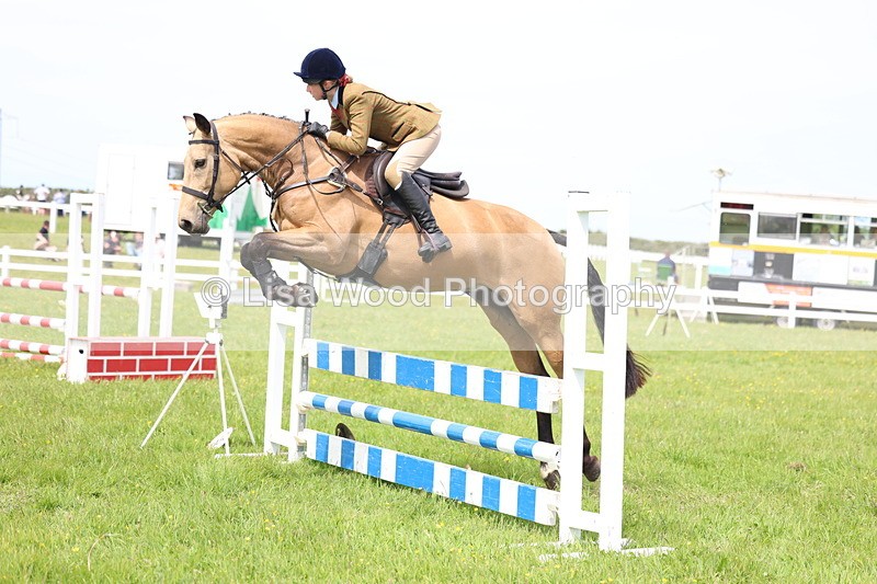 3E7A1434 - Class 13: Senior British Novice/90cm open
