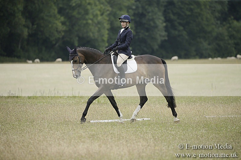 B230619-0886 - Bourne Valley Riding Club Summer Show 23/06/19