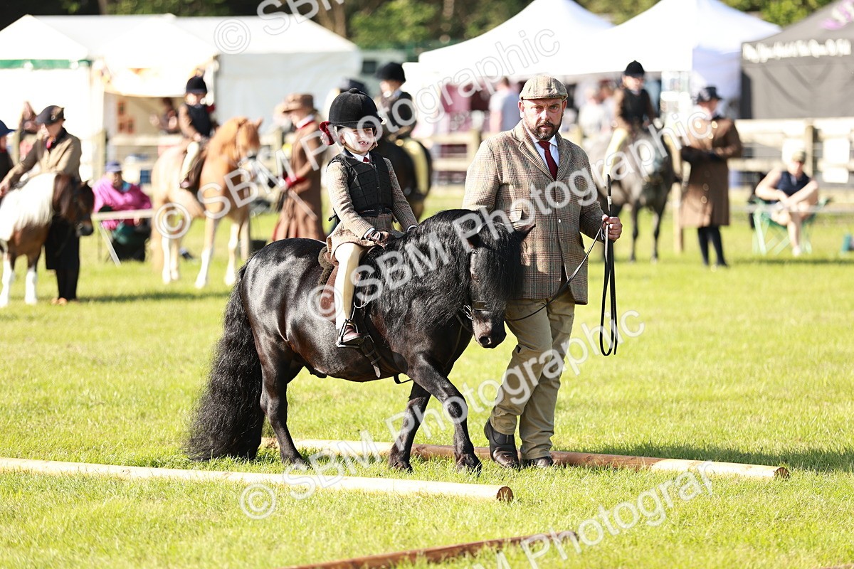SBM_11163 - Class 106-107 - BSPS LIHS Working Sports Pony