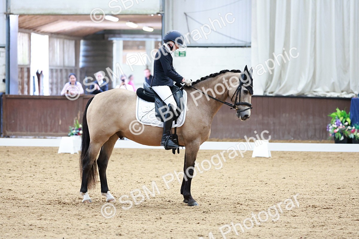 SBM_017240 - Class15 - FEI Pony