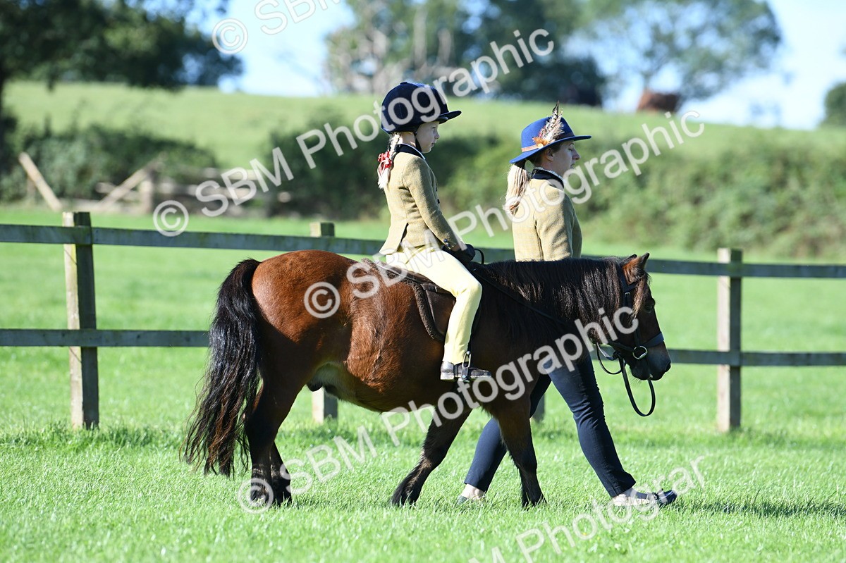 SBM_36697 - S18 - Novice & Newcomers Lead Rein Pony