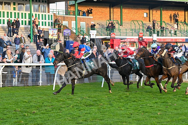 291024-Race 7-Crocodile Power-6493 - Race 7