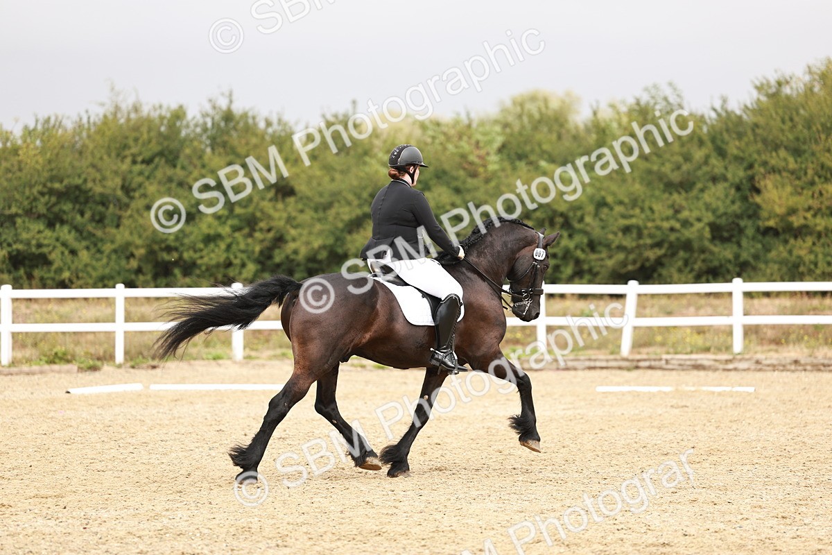 SBM_001890 - Class 8-11 - N2 E1 Warm Up - 12.27-12.59