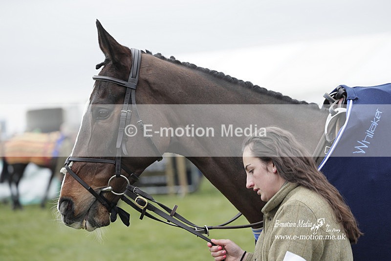PtP 050323 371 - Blackmore & Sparkford Vale Hunt PtP - Somerset 05/03/23