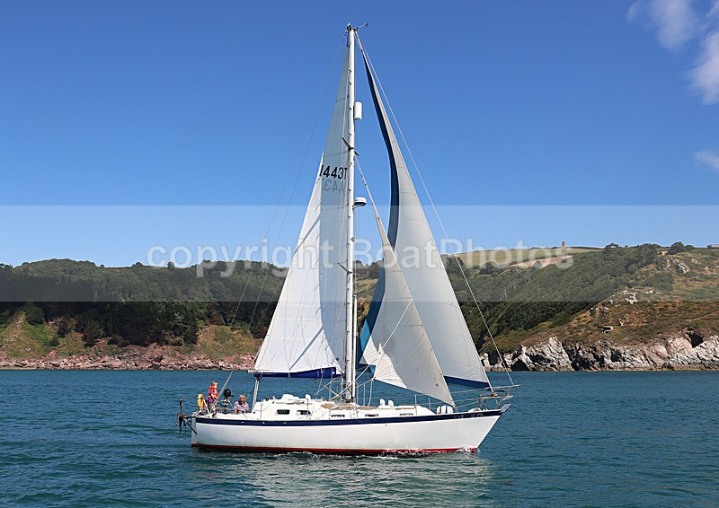 140729 SCOT FREE GBR1443T WT7A1833 - 140729 SCOT FREE GBR1443T