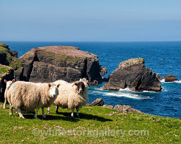 Port Of Ness Coastal Walk - Scottish Highlands
