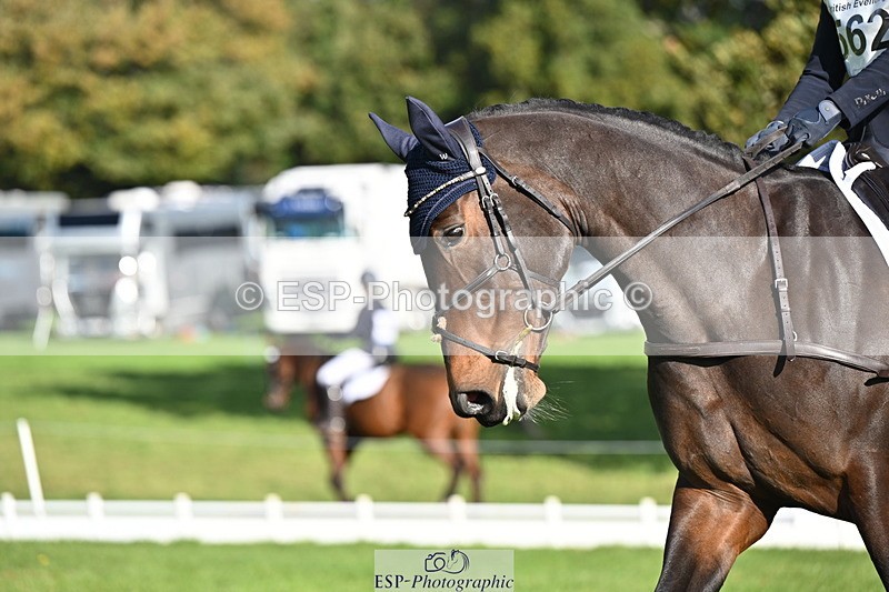 251024A-112526-09656 - G-562-Phoebe.Lagor