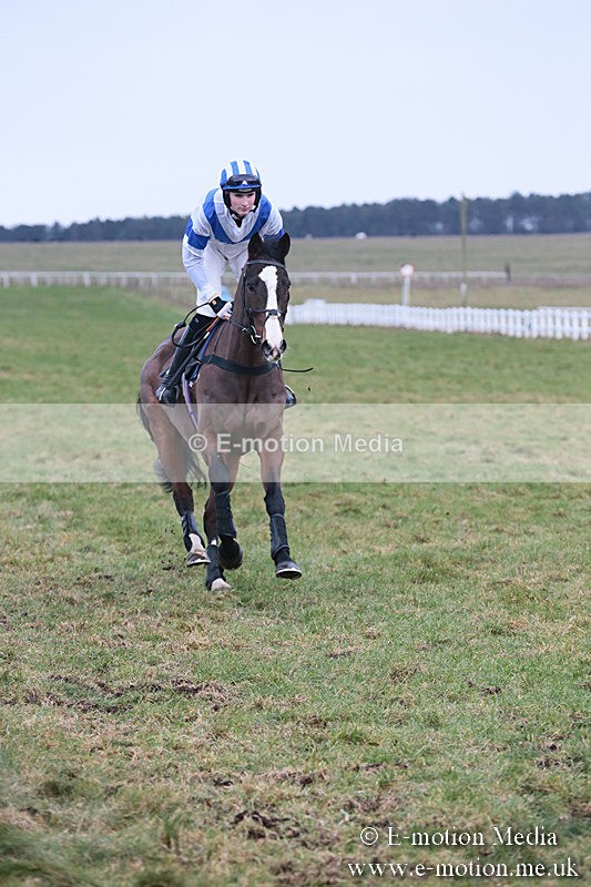 PtP 230119 366 - Royal Artillery Point-to-Point  - Larkhill  - 26/01/19