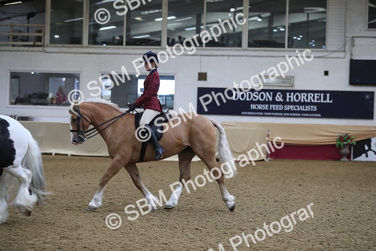 SBM_10411 - Class 102 Equitation (best rider) Adult