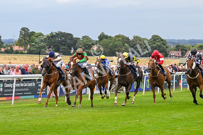 150824-Race 4-Opal Storm-8054 - Race 4