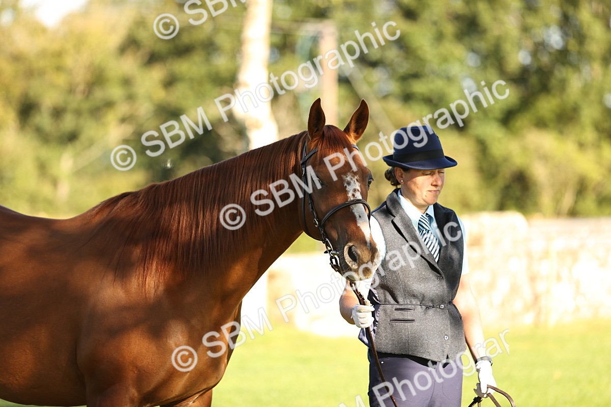 SBM_15726 - S1 - TSR in Hand Horse & Pony Showing
