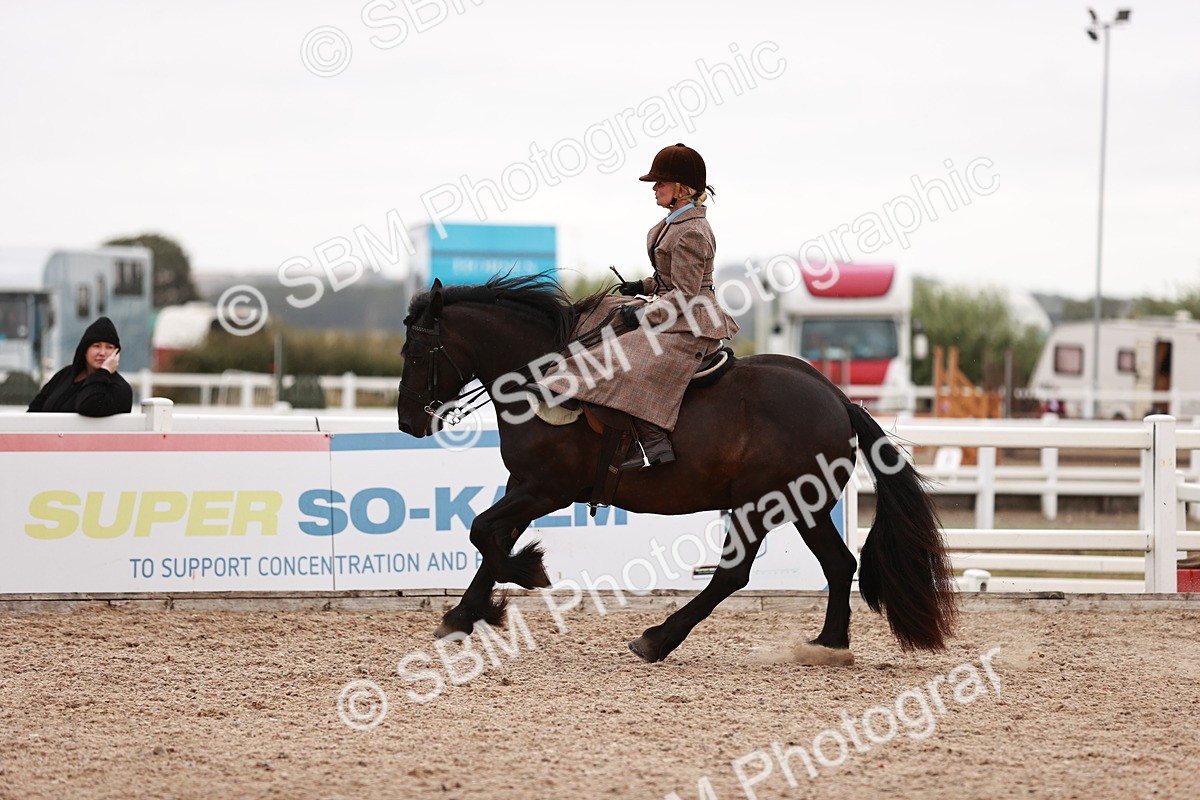 SBM_19044 - Class 422 - Ridden M&M