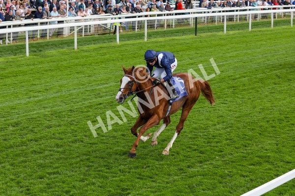 160524-Race 4-Economics-1874 - Race 4 3.45pm Al Basti Equiworld Dubai Dante Stakes
