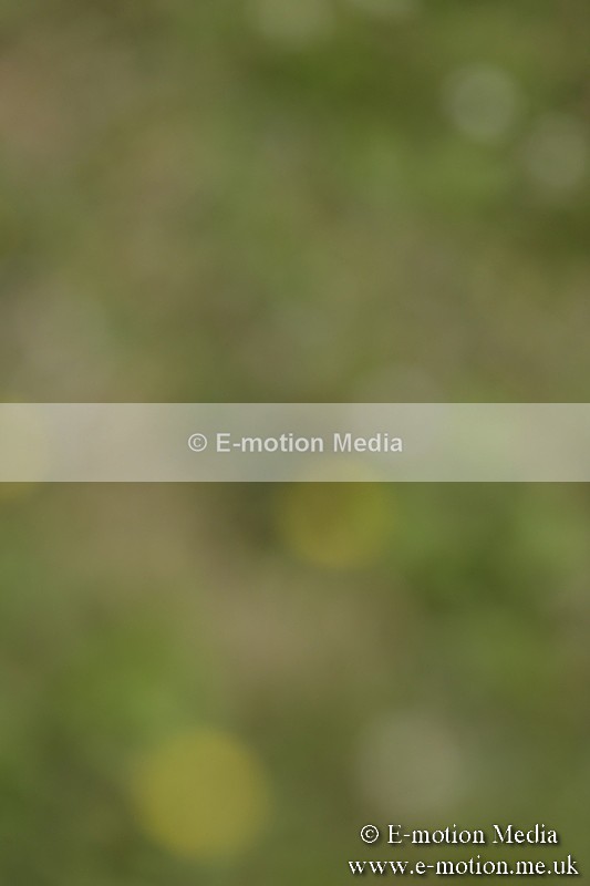 BVR160717-598 - Class 1 & 23a Dressage 16/07/17