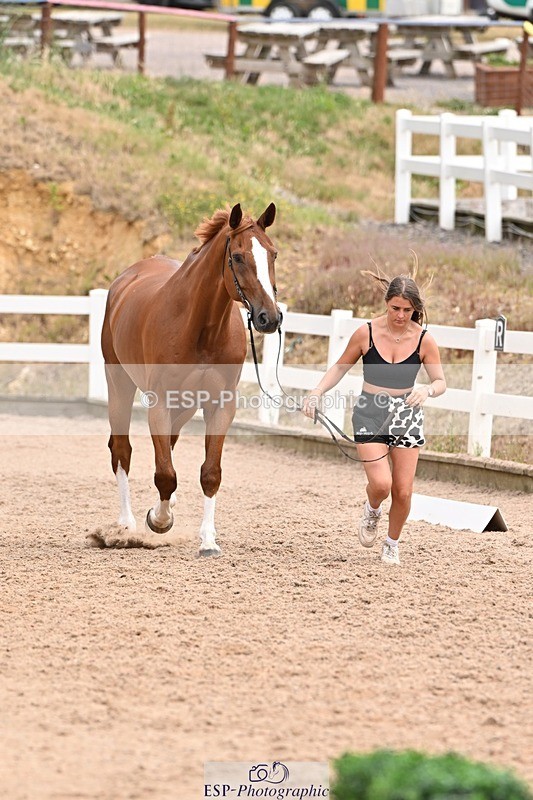 250716-144503-01358 - Trot Up 2.30 to 3.30