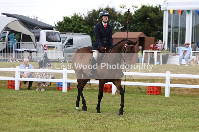 3E7A2379 - Class 11: Retraining of Racehorse