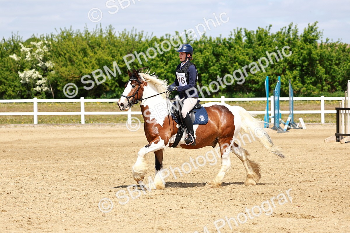 SBM_007811 - Class 3 - 60cm