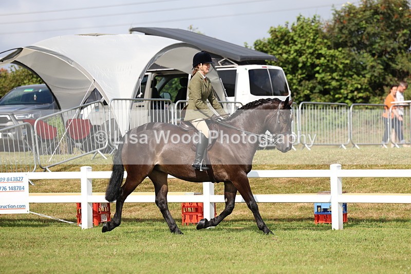 3E7A8869 - Class 3: Rising Star S/L Hunter