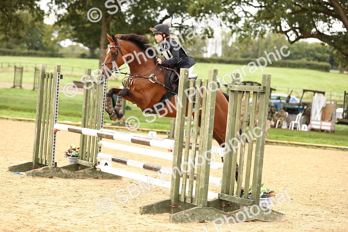 SBM_58393 - J41 - Grand Tour Horse & Pony 95cm