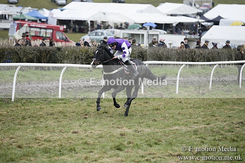 PtP 020418 -476 - Old Berks Point-to-Point Races Easter Monday 02/04/18