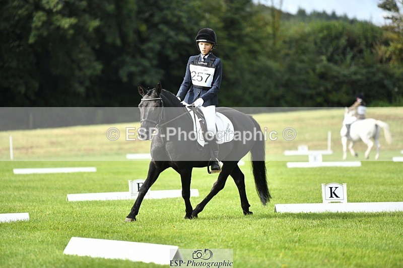 230826-094734-15235 - Sections C & D 9 to 10am