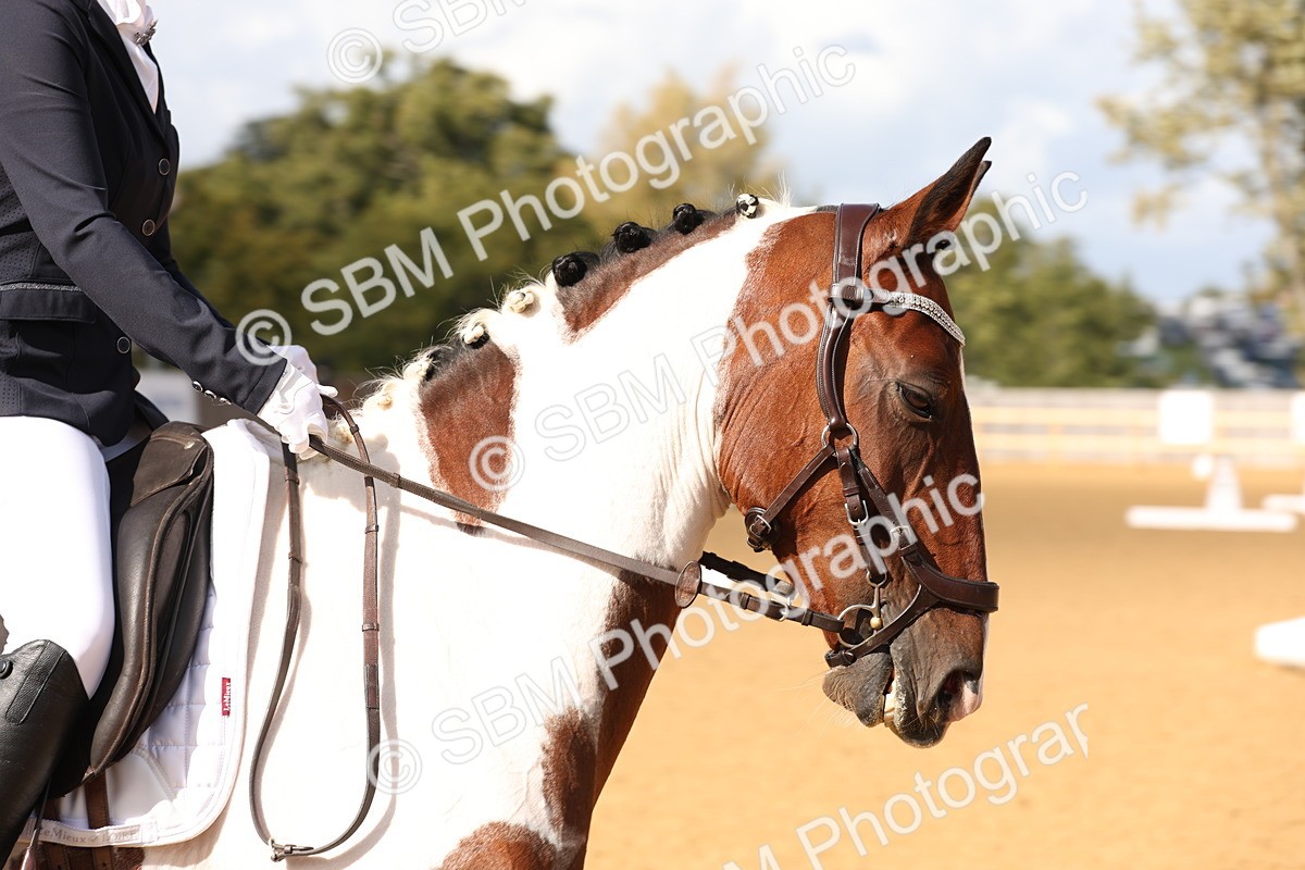 SBM_24550 - D17 - Grand Tour Championship Novice 3