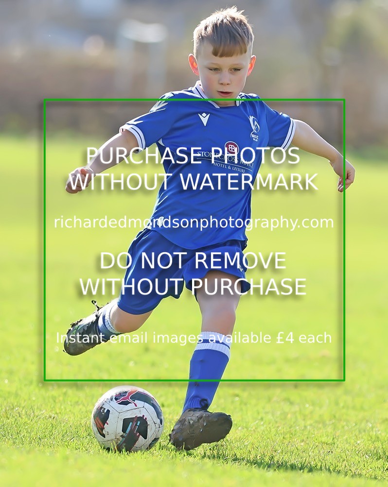 533A7849 - Ibis Under 8's (14/3/26)