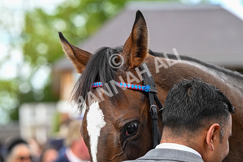 150526-Race 2-Lilt-7321 - Race 2 2.20pm Sky Bet Fillies' Stakes